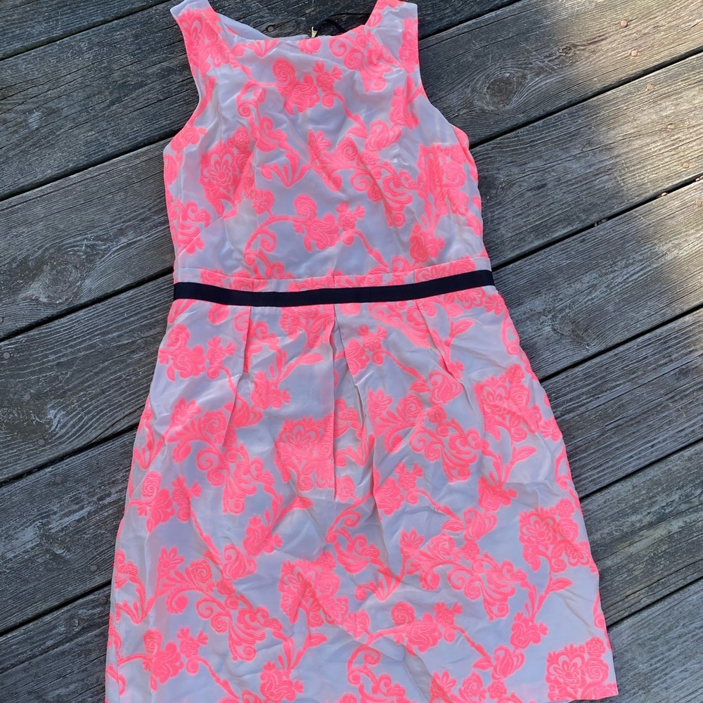 Ann Taylor Loft dress 4